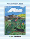 Annual Report 2000