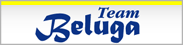 Team Beluga�@�x���[�K�J���`�[���ɂ��u���O