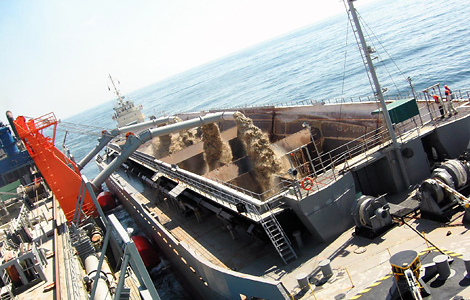 Sand Supply Works for Palm Deira, Dubai