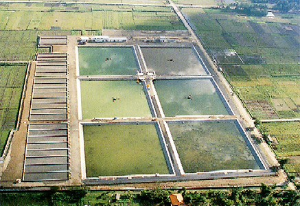 Yogyakarta Sewage Treatment Plant