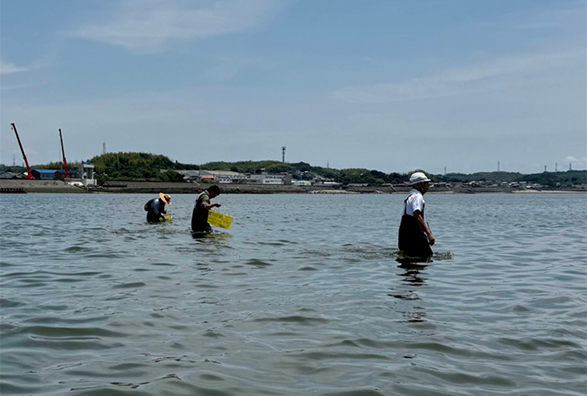 ��q�̎�̗l�q�i2024�N6���j