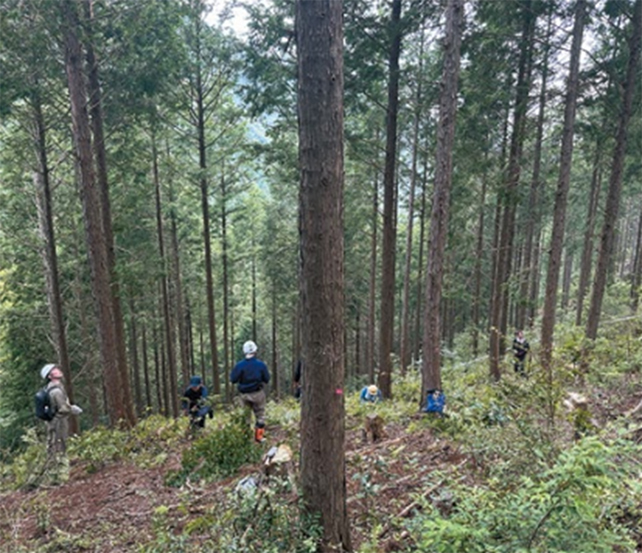 ���j�^�����O�����̗l�q