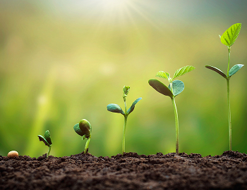 ��{�I�ȍl�����ƃ��[�h�}�b�v�E�ڍs�v��