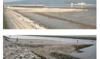 自然再生 干潟・藻場・浅場・人工マウンド礁造成