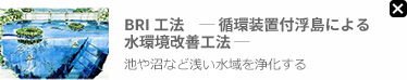 BRIH@  zutɂ鐅PH@ 