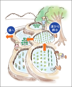 東亜建設工業 技術とサービス ビオトープの創出