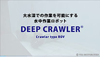 [xł̍Ƃ\ɂ鐅ƃ{bguDEEP CRAWLERv